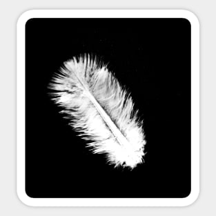 feather Sticker